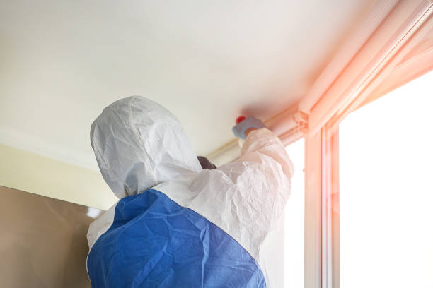 Best Environmental Consulting for Mold Prevention  in Enterprise, AL